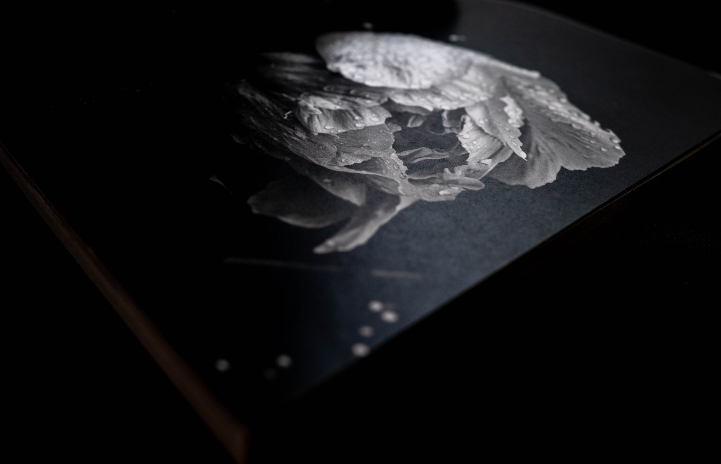Black and white flower photograph on page of book