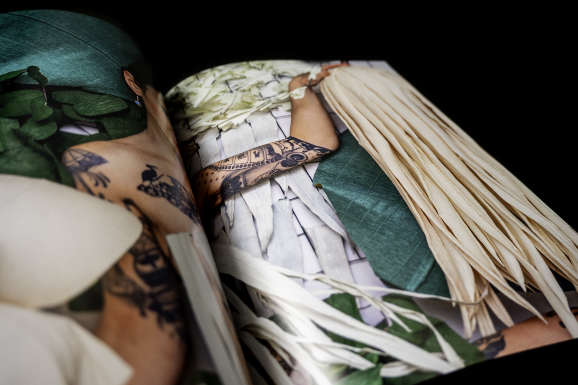 Paper Daydream open spread